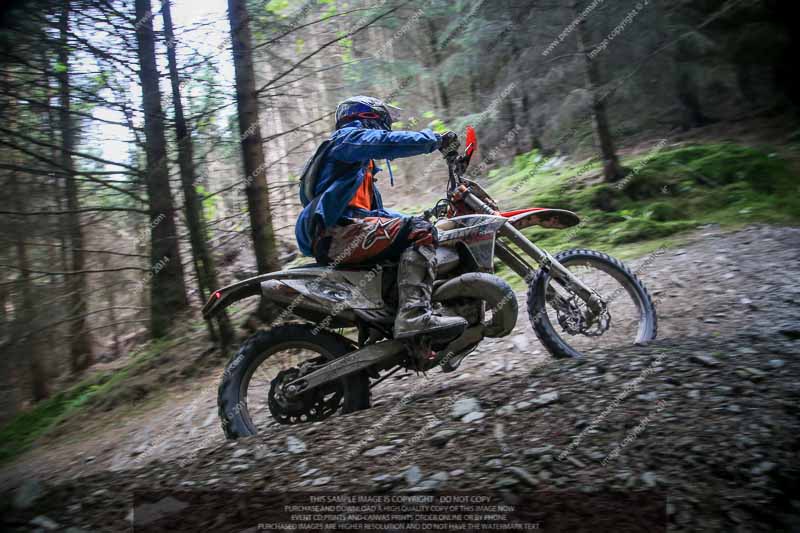 enduro digital images;enduro photos;eventdigitalimages;llandrindod wells;no limits trackdays;peter wileman photography;trackday digital images;wales;welsh 2 day enduro