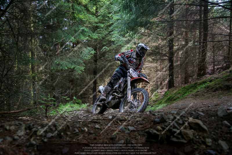 enduro digital images;enduro photos;eventdigitalimages;llandrindod wells;no limits trackdays;peter wileman photography;trackday digital images;wales;welsh 2 day enduro