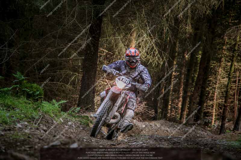 enduro digital images;enduro photos;eventdigitalimages;llandrindod wells;no limits trackdays;peter wileman photography;trackday digital images;wales;welsh 2 day enduro