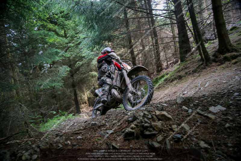 enduro digital images;enduro photos;eventdigitalimages;llandrindod wells;no limits trackdays;peter wileman photography;trackday digital images;wales;welsh 2 day enduro