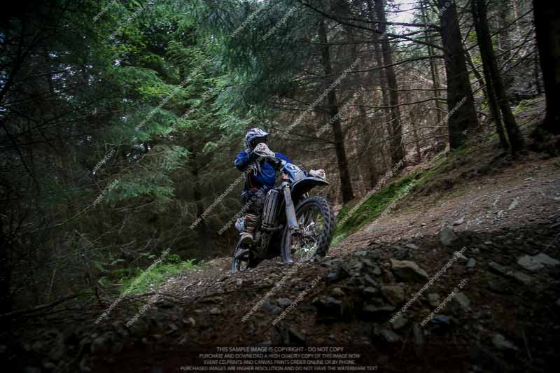 enduro digital images;enduro photos;eventdigitalimages;llandrindod wells;no limits trackdays;peter wileman photography;trackday digital images;wales;welsh 2 day enduro