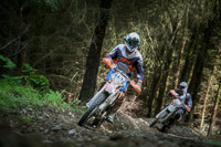 enduro-digital-images;enduro-photos;eventdigitalimages;llandrindod-wells;no-limits-trackdays;peter-wileman-photography;trackday-digital-images;wales;welsh-2-day-enduro