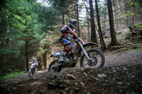 enduro-digital-images;enduro-photos;eventdigitalimages;llandrindod-wells;no-limits-trackdays;peter-wileman-photography;trackday-digital-images;wales;welsh-2-day-enduro