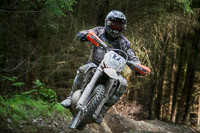 enduro-digital-images;enduro-photos;eventdigitalimages;llandrindod-wells;no-limits-trackdays;peter-wileman-photography;trackday-digital-images;wales;welsh-2-day-enduro