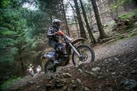 enduro-digital-images;enduro-photos;eventdigitalimages;llandrindod-wells;no-limits-trackdays;peter-wileman-photography;trackday-digital-images;wales;welsh-2-day-enduro