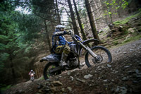 enduro-digital-images;enduro-photos;eventdigitalimages;llandrindod-wells;no-limits-trackdays;peter-wileman-photography;trackday-digital-images;wales;welsh-2-day-enduro