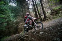 enduro-digital-images;enduro-photos;eventdigitalimages;llandrindod-wells;no-limits-trackdays;peter-wileman-photography;trackday-digital-images;wales;welsh-2-day-enduro