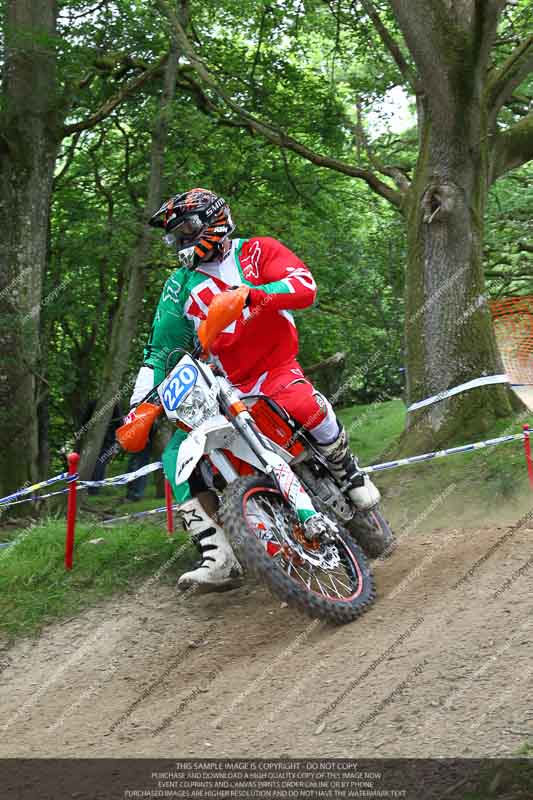 enduro digital images;enduro photos;eventdigitalimages;llandrindod wells;no limits trackdays;peter wileman photography;trackday digital images;wales;welsh 2 day enduro