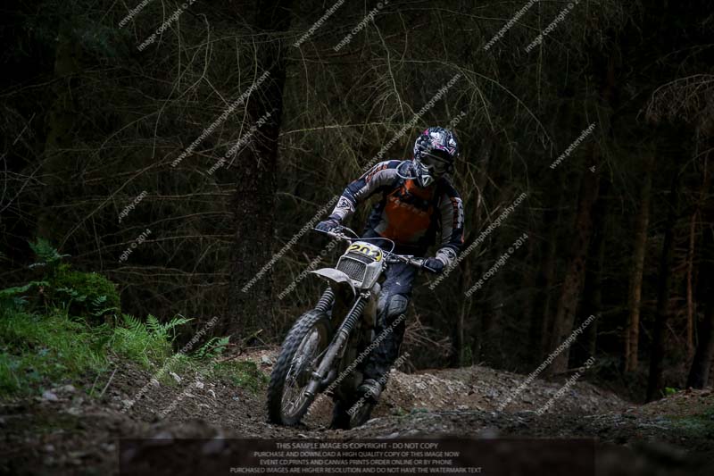 enduro digital images;enduro photos;eventdigitalimages;llandrindod wells;no limits trackdays;peter wileman photography;trackday digital images;wales;welsh 2 day enduro