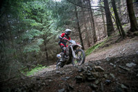 enduro-digital-images;enduro-photos;eventdigitalimages;llandrindod-wells;no-limits-trackdays;peter-wileman-photography;trackday-digital-images;wales;welsh-2-day-enduro