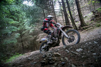 enduro-digital-images;enduro-photos;eventdigitalimages;llandrindod-wells;no-limits-trackdays;peter-wileman-photography;trackday-digital-images;wales;welsh-2-day-enduro