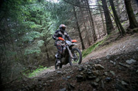 enduro-digital-images;enduro-photos;eventdigitalimages;llandrindod-wells;no-limits-trackdays;peter-wileman-photography;trackday-digital-images;wales;welsh-2-day-enduro