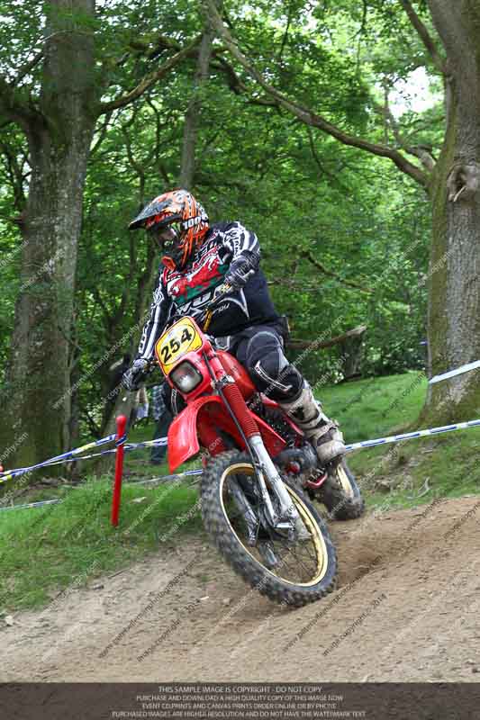 enduro digital images;enduro photos;eventdigitalimages;llandrindod wells;no limits trackdays;peter wileman photography;trackday digital images;wales;welsh 2 day enduro