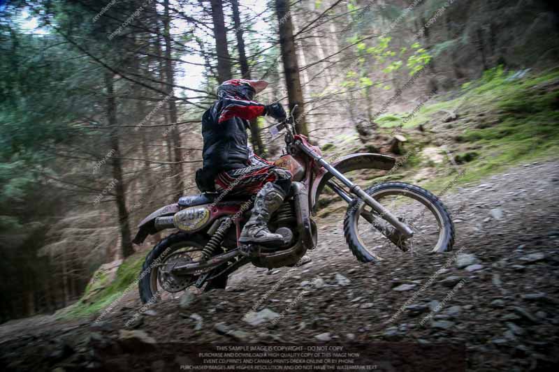 enduro digital images;enduro photos;eventdigitalimages;llandrindod wells;no limits trackdays;peter wileman photography;trackday digital images;wales;welsh 2 day enduro