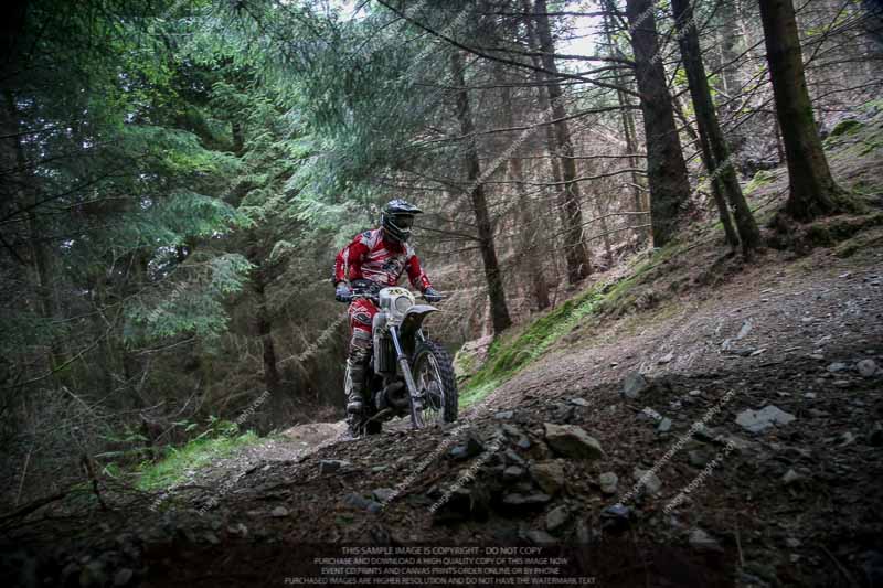 enduro digital images;enduro photos;eventdigitalimages;llandrindod wells;no limits trackdays;peter wileman photography;trackday digital images;wales;welsh 2 day enduro