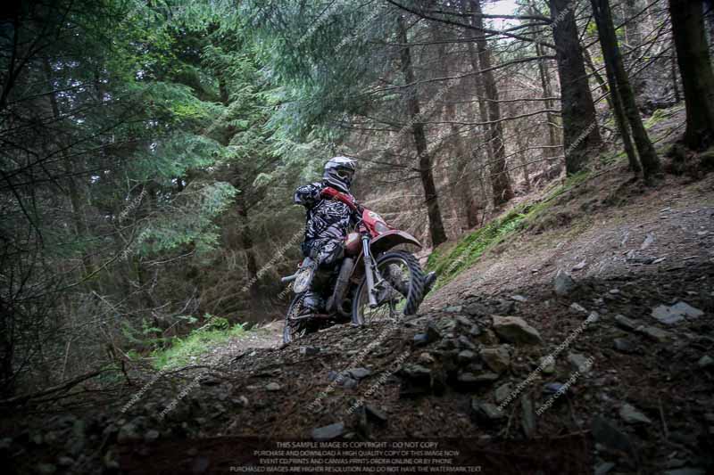 enduro digital images;enduro photos;eventdigitalimages;llandrindod wells;no limits trackdays;peter wileman photography;trackday digital images;wales;welsh 2 day enduro