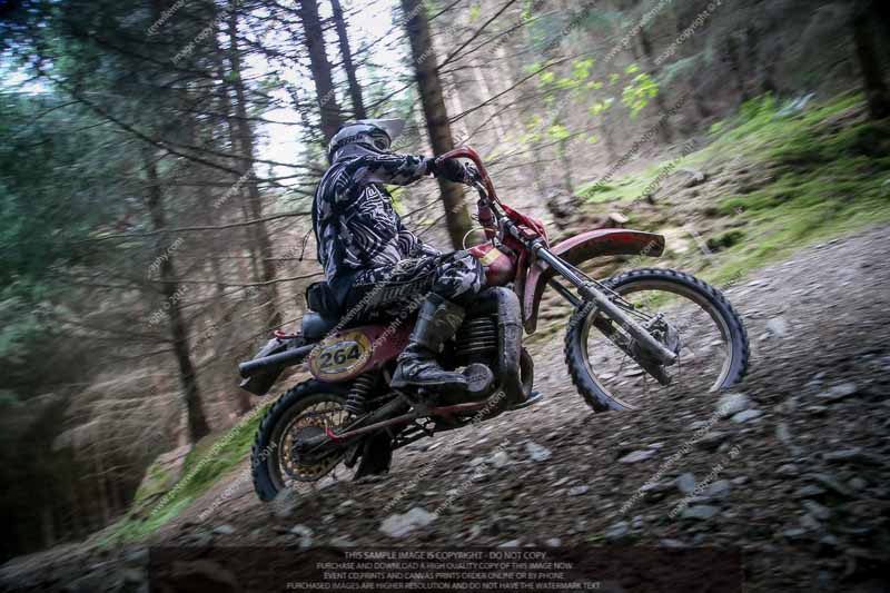 enduro digital images;enduro photos;eventdigitalimages;llandrindod wells;no limits trackdays;peter wileman photography;trackday digital images;wales;welsh 2 day enduro