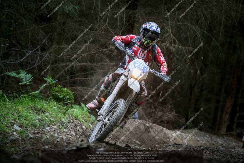 enduro digital images;enduro photos;eventdigitalimages;llandrindod wells;no limits trackdays;peter wileman photography;trackday digital images;wales;welsh 2 day enduro