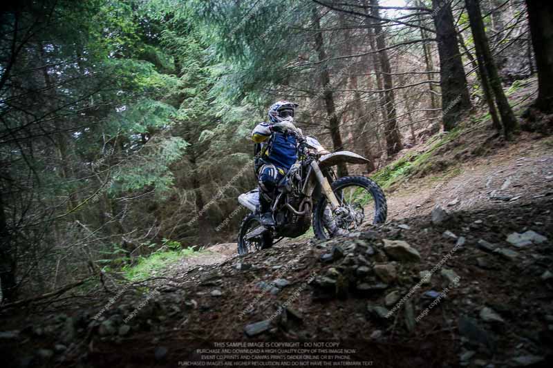 enduro digital images;enduro photos;eventdigitalimages;llandrindod wells;no limits trackdays;peter wileman photography;trackday digital images;wales;welsh 2 day enduro