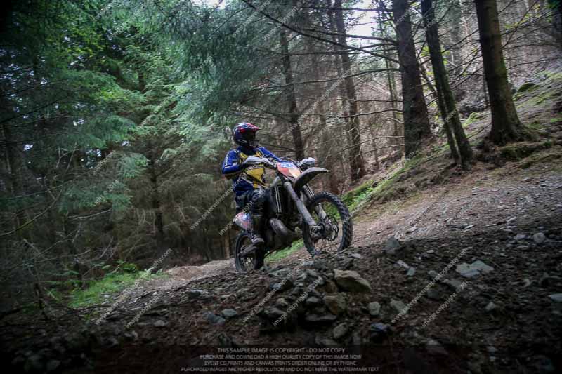 enduro digital images;enduro photos;eventdigitalimages;llandrindod wells;no limits trackdays;peter wileman photography;trackday digital images;wales;welsh 2 day enduro