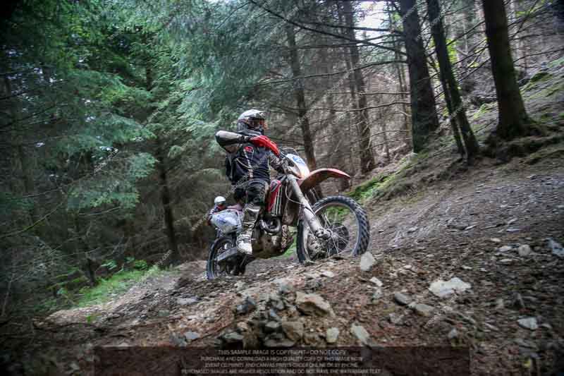 enduro digital images;enduro photos;eventdigitalimages;llandrindod wells;no limits trackdays;peter wileman photography;trackday digital images;wales;welsh 2 day enduro