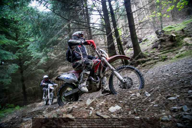 enduro digital images;enduro photos;eventdigitalimages;llandrindod wells;no limits trackdays;peter wileman photography;trackday digital images;wales;welsh 2 day enduro