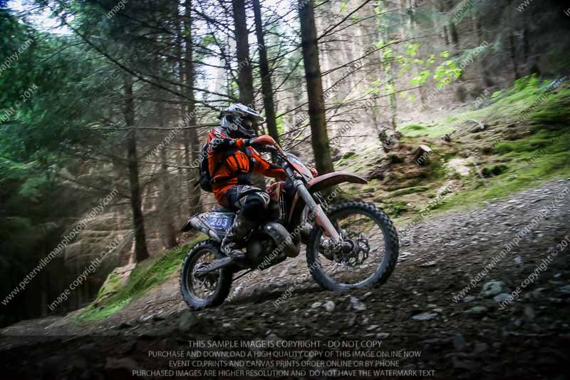 enduro digital images;enduro photos;eventdigitalimages;llandrindod wells;no limits trackdays;peter wileman photography;trackday digital images;wales;welsh 2 day enduro