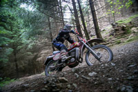 enduro-digital-images;enduro-photos;eventdigitalimages;llandrindod-wells;no-limits-trackdays;peter-wileman-photography;trackday-digital-images;wales;welsh-2-day-enduro