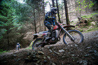 enduro-digital-images;enduro-photos;eventdigitalimages;llandrindod-wells;no-limits-trackdays;peter-wileman-photography;trackday-digital-images;wales;welsh-2-day-enduro