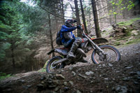 enduro-digital-images;enduro-photos;eventdigitalimages;llandrindod-wells;no-limits-trackdays;peter-wileman-photography;trackday-digital-images;wales;welsh-2-day-enduro