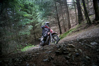 enduro-digital-images;enduro-photos;eventdigitalimages;llandrindod-wells;no-limits-trackdays;peter-wileman-photography;trackday-digital-images;wales;welsh-2-day-enduro