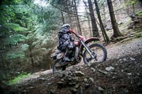 enduro-digital-images;enduro-photos;eventdigitalimages;llandrindod-wells;no-limits-trackdays;peter-wileman-photography;trackday-digital-images;wales;welsh-2-day-enduro