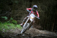 enduro-digital-images;enduro-photos;eventdigitalimages;llandrindod-wells;no-limits-trackdays;peter-wileman-photography;trackday-digital-images;wales;welsh-2-day-enduro