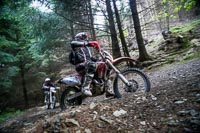 enduro-digital-images;enduro-photos;eventdigitalimages;llandrindod-wells;no-limits-trackdays;peter-wileman-photography;trackday-digital-images;wales;welsh-2-day-enduro