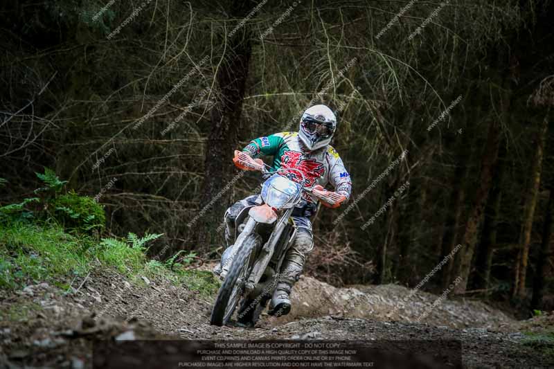 enduro digital images;enduro photos;eventdigitalimages;llandrindod wells;no limits trackdays;peter wileman photography;trackday digital images;wales;welsh 2 day enduro