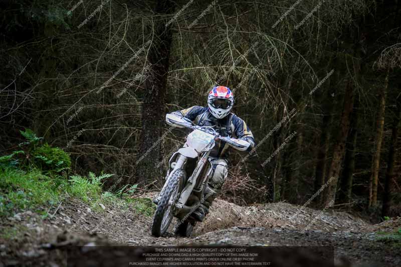 enduro digital images;enduro photos;eventdigitalimages;llandrindod wells;no limits trackdays;peter wileman photography;trackday digital images;wales;welsh 2 day enduro