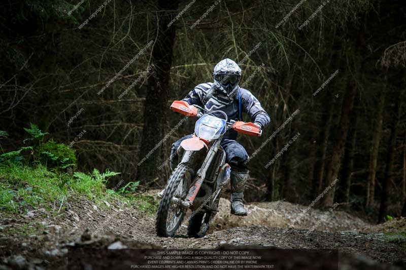 enduro digital images;enduro photos;eventdigitalimages;llandrindod wells;no limits trackdays;peter wileman photography;trackday digital images;wales;welsh 2 day enduro