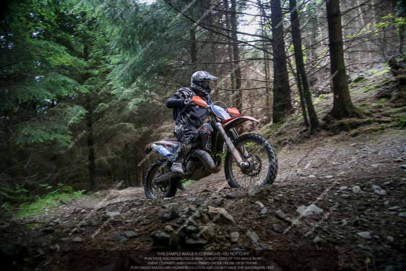 enduro digital images;enduro photos;eventdigitalimages;llandrindod wells;no limits trackdays;peter wileman photography;trackday digital images;wales;welsh 2 day enduro