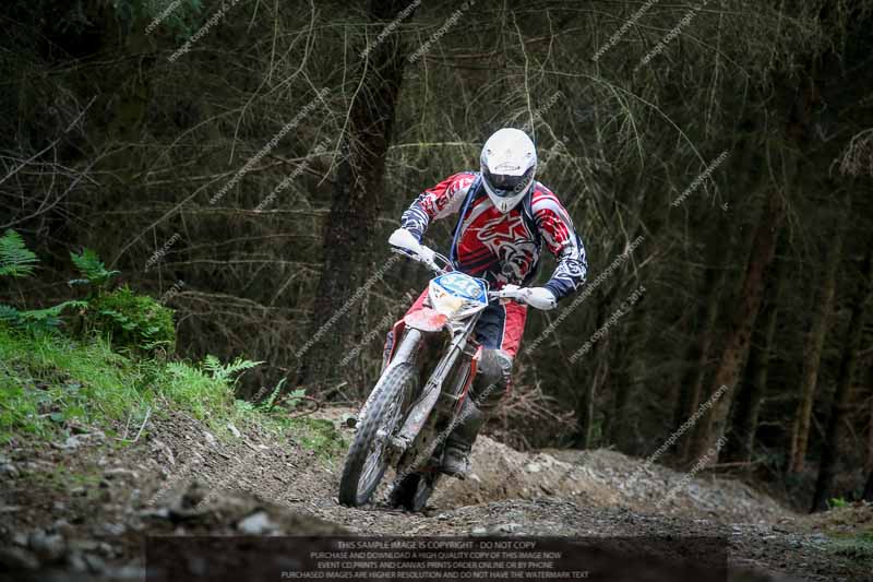 enduro digital images;enduro photos;eventdigitalimages;llandrindod wells;no limits trackdays;peter wileman photography;trackday digital images;wales;welsh 2 day enduro