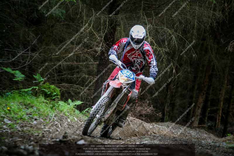 enduro digital images;enduro photos;eventdigitalimages;llandrindod wells;no limits trackdays;peter wileman photography;trackday digital images;wales;welsh 2 day enduro