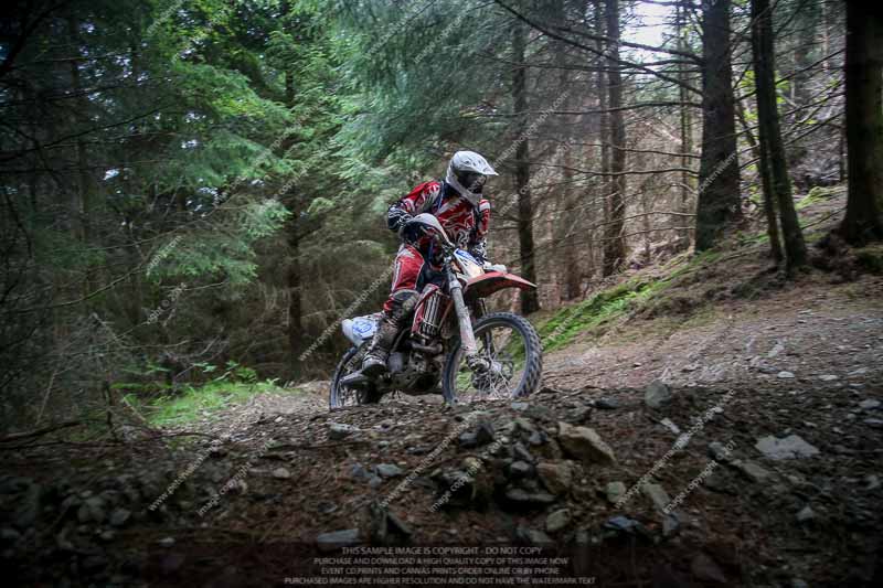 enduro digital images;enduro photos;eventdigitalimages;llandrindod wells;no limits trackdays;peter wileman photography;trackday digital images;wales;welsh 2 day enduro