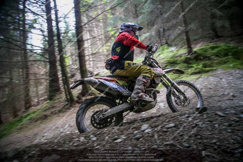 enduro digital images;enduro photos;eventdigitalimages;llandrindod wells;no limits trackdays;peter wileman photography;trackday digital images;wales;welsh 2 day enduro