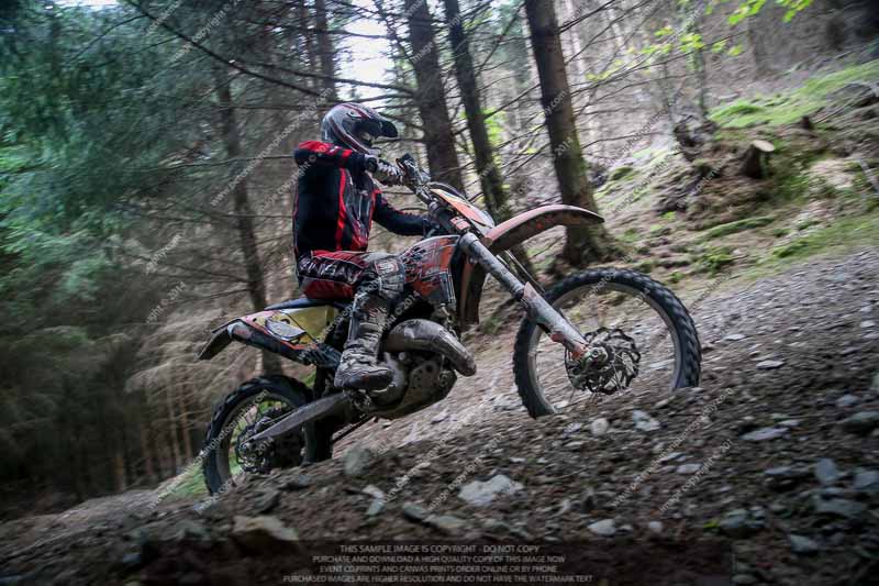 enduro digital images;enduro photos;eventdigitalimages;llandrindod wells;no limits trackdays;peter wileman photography;trackday digital images;wales;welsh 2 day enduro