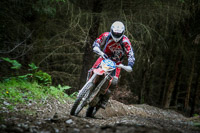 enduro-digital-images;enduro-photos;eventdigitalimages;llandrindod-wells;no-limits-trackdays;peter-wileman-photography;trackday-digital-images;wales;welsh-2-day-enduro