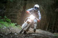 enduro-digital-images;enduro-photos;eventdigitalimages;llandrindod-wells;no-limits-trackdays;peter-wileman-photography;trackday-digital-images;wales;welsh-2-day-enduro