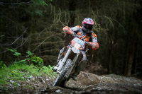 enduro-digital-images;enduro-photos;eventdigitalimages;llandrindod-wells;no-limits-trackdays;peter-wileman-photography;trackday-digital-images;wales;welsh-2-day-enduro