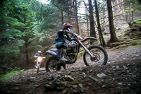 enduro-digital-images;enduro-photos;eventdigitalimages;llandrindod-wells;no-limits-trackdays;peter-wileman-photography;trackday-digital-images;wales;welsh-2-day-enduro