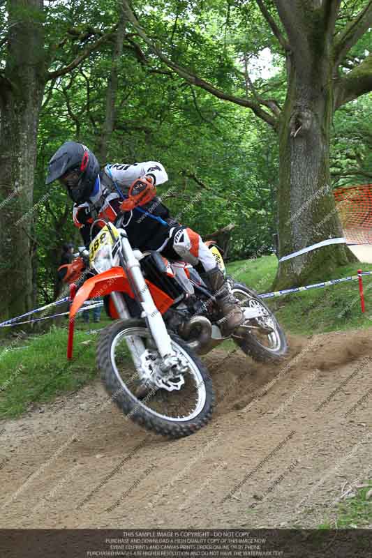 enduro digital images;enduro photos;eventdigitalimages;llandrindod wells;no limits trackdays;peter wileman photography;trackday digital images;wales;welsh 2 day enduro