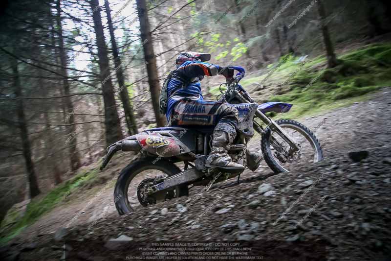 enduro digital images;enduro photos;eventdigitalimages;llandrindod wells;no limits trackdays;peter wileman photography;trackday digital images;wales;welsh 2 day enduro