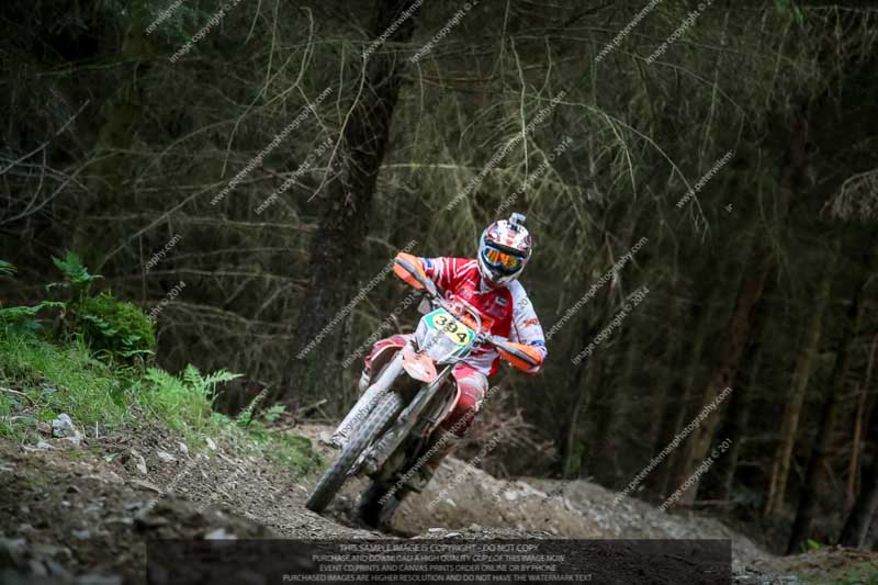 enduro digital images;enduro photos;eventdigitalimages;llandrindod wells;no limits trackdays;peter wileman photography;trackday digital images;wales;welsh 2 day enduro